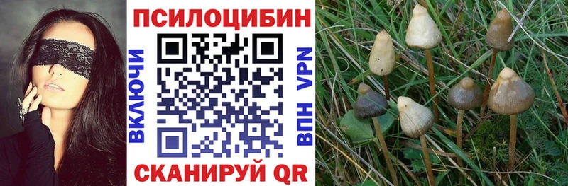 закладка  Красноперекопск  Галлюциногенные грибы ЛСД 