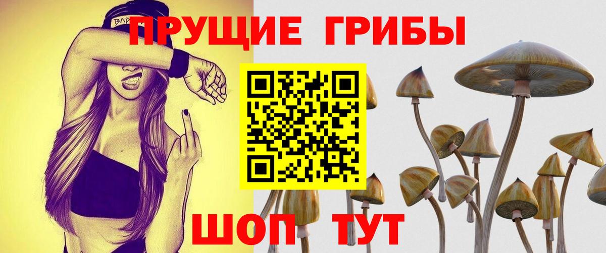 Псилоцибиновые грибы Magic Shrooms Красноперекопск